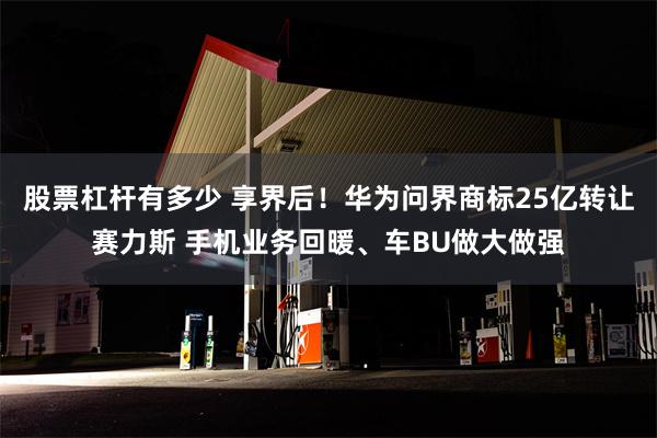 股票杠杆有多少 享界后！华为问界商标25亿转让赛力斯 手机业务回暖、车BU做大做强