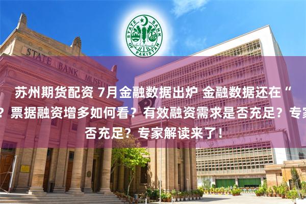 苏州期货配资 7月金融数据出炉 金融数据还在“挤水分”吗？票据融资增多如何看？有效融资需求是否充足？专家解读来了！