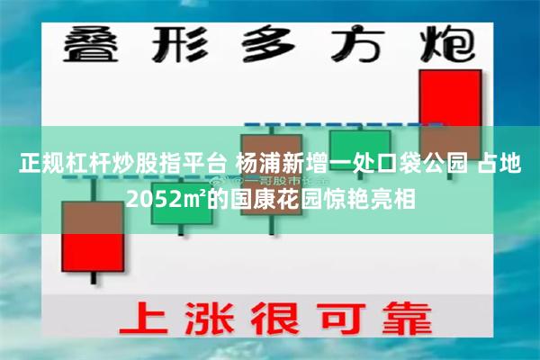 正规杠杆炒股指平台 杨浦新增一处口袋公园 占地2052㎡的国康花园惊艳亮相