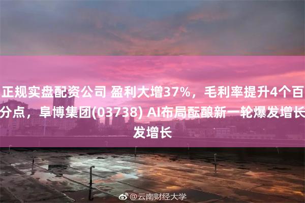 正规实盘配资公司 盈利大增37%，毛利率提升4个百分点，阜博集团(03738) AI布局酝酿新一轮爆发增长