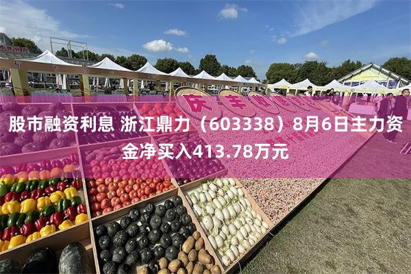 股市融资利息 浙江鼎力（603338）8月6日主力资金净买入413.78万元