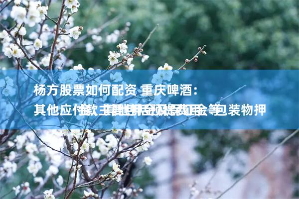 杨方股票如何配资 重庆啤酒：
其他应付款主要包括预提费用、包装物押金、其他押金及保证金等