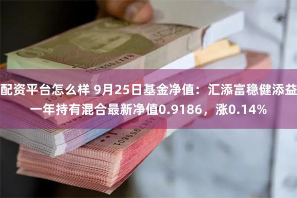 配资平台怎么样 9月25日基金净值：汇添富稳健添益一年持有混合最新净值0.9186，涨0.14%