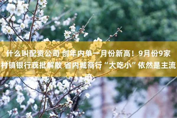 什么叫配资公司 创年内单一月份新高！9月份9家村镇银行获批解散 省内城商行“大吃小”依然是主流