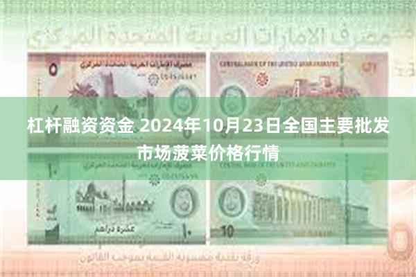 杠杆融资资金 2024年10月23日全国主要批发市场菠菜价格行情