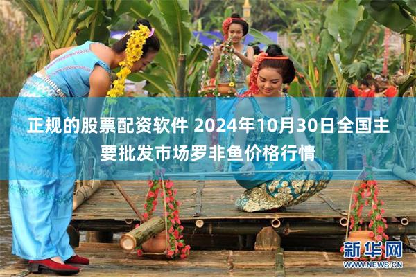 正规的股票配资软件 2024年10月30日全国主要批发市场罗非鱼价格行情