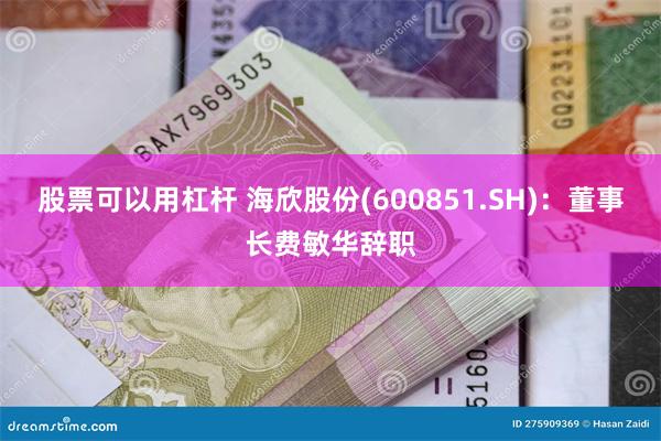 股票可以用杠杆 海欣股份(600851.SH)：董事长费敏华辞职