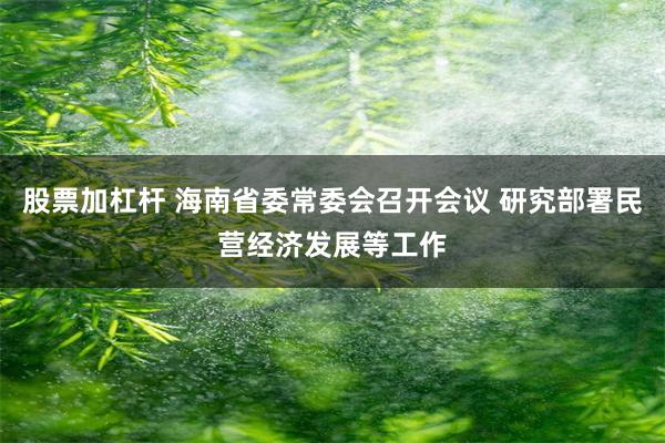 股票加杠杆 海南省委常委会召开会议 研究部署民营经济发展等工作