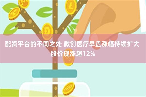 配资平台的不同之处 微创医疗早盘涨幅持续扩大 股价现涨超12%